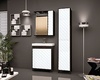 Зеркальный шкаф Style Line Агат 60/С